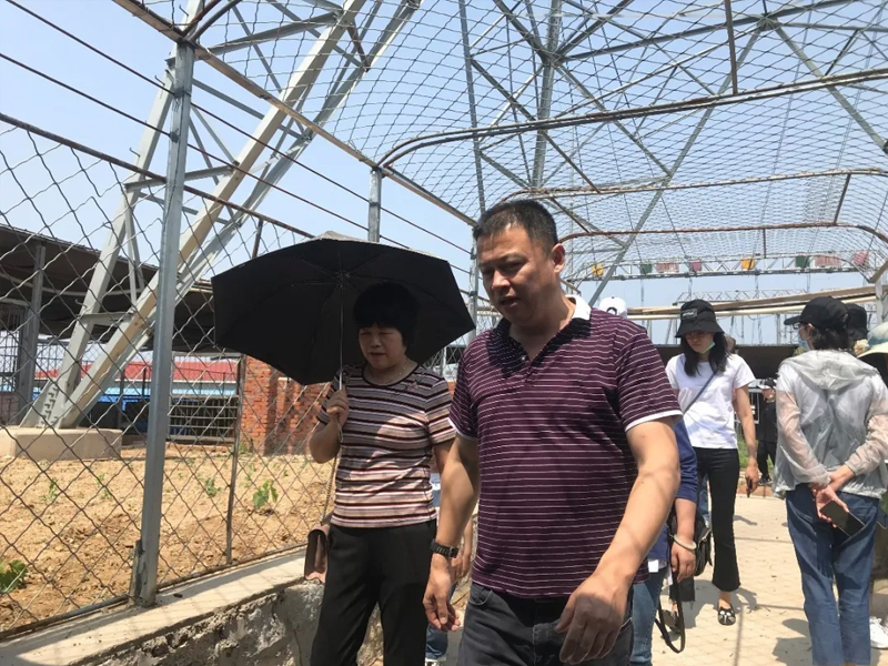 瀛桥所调研复工复产，助力企业健康发展