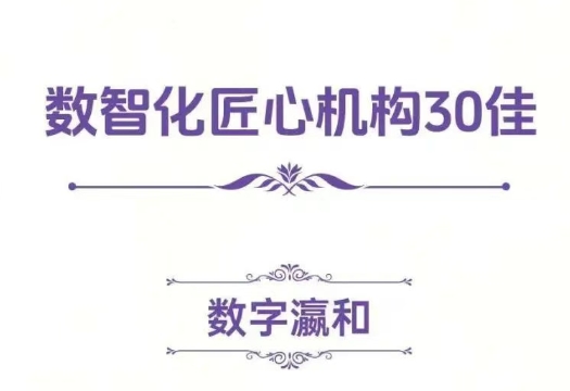 荣誉丨数字瀛和获评“律新社2025风云榜：数智化匠心机构30佳”