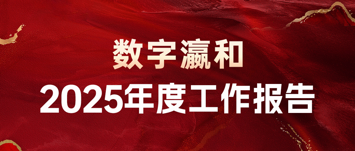 潮起 扬帆 | 数字瀛和2025年度工作报告正式发布！